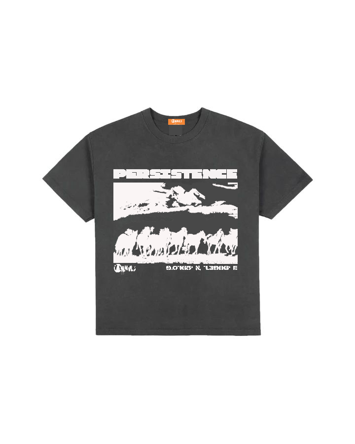 Persistence Stone-Washed Heavy Tshirt