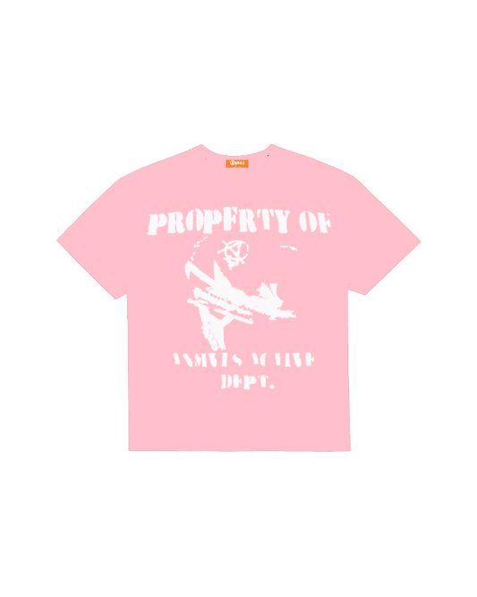 PINK PROPERTY OF ANMVLS